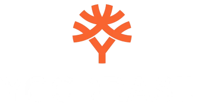 partners who work with DB Bet